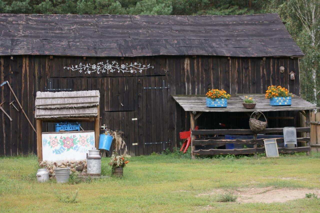 Zagroda Zalipie Villa Gostynin Exterior photo