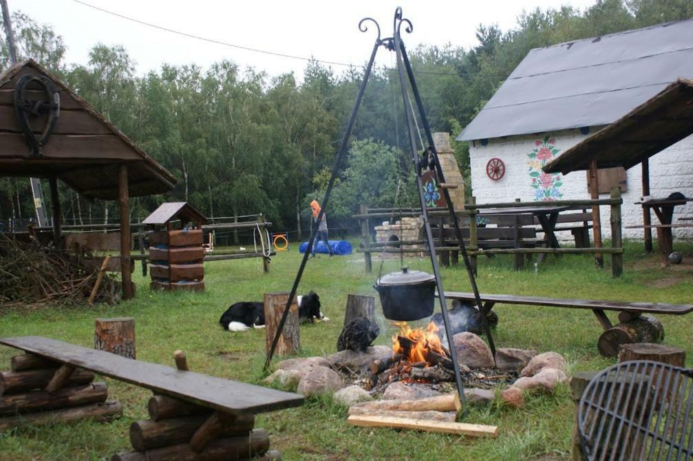 Zagroda Zalipie Gostynin Exterior photo