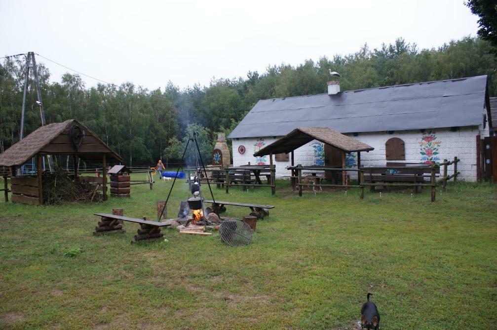 Zagroda Zalipie Gostynin Exterior photo