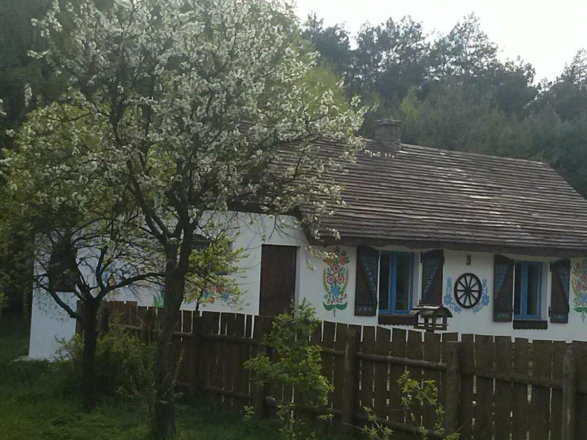 Zagroda Zalipie Gostynin Exterior photo