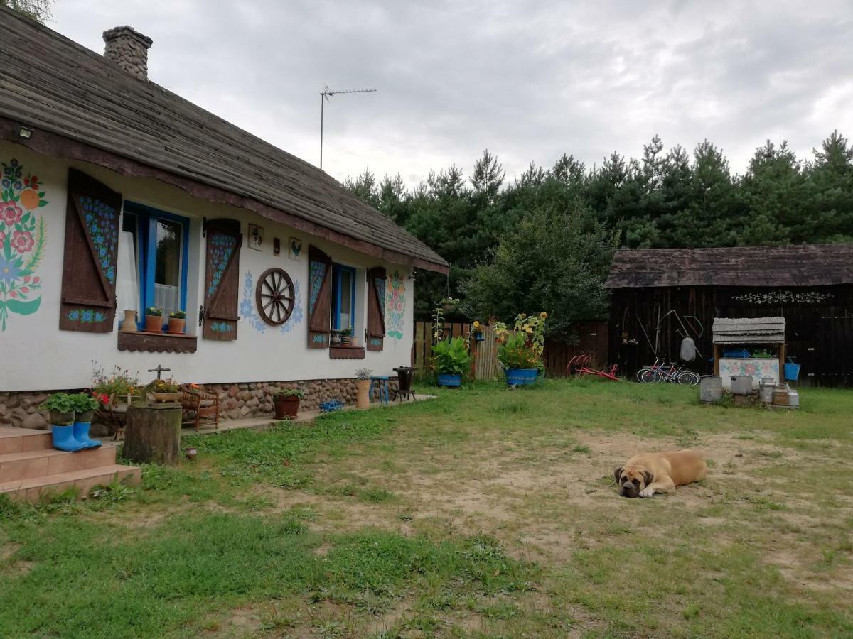 Zagroda Zalipie Villa Gostynin Exterior photo