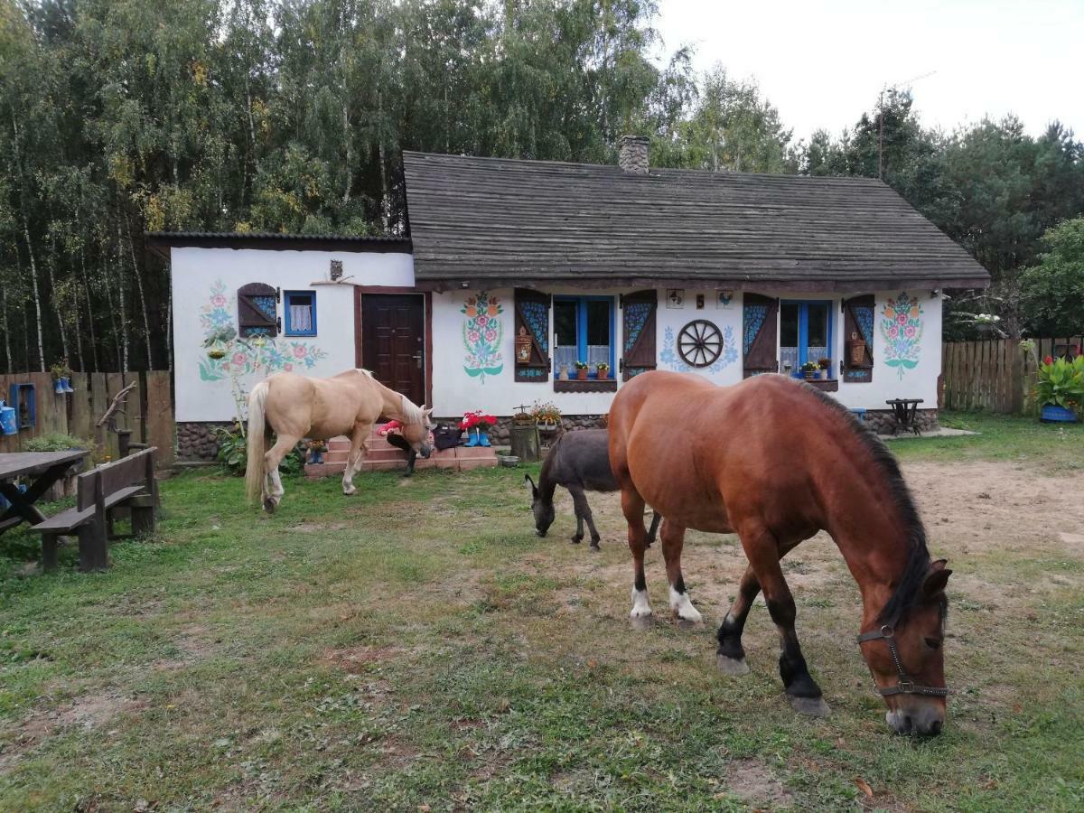 Zagroda Zalipie Villa Gostynin Exterior photo