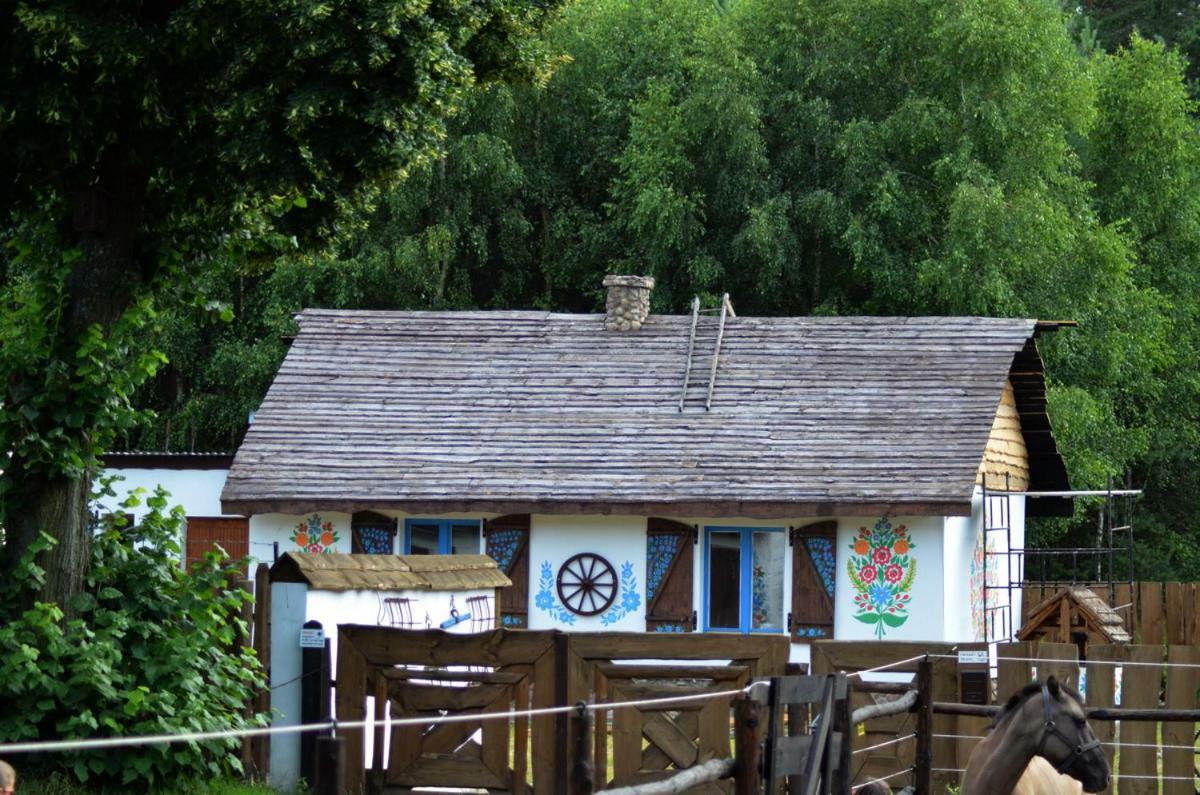 Zagroda Zalipie Villa Gostynin Exterior photo