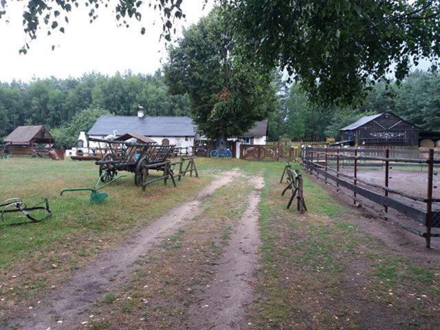 Zagroda Zalipie Gostynin Exterior photo